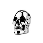 Chrome Skull